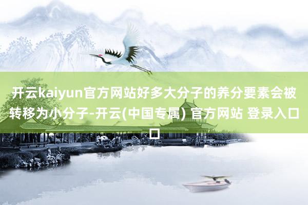 开云kaiyun官方网站好多大分子的养分要素会被转移为小分子-开云(中国专属) 官方网站 登录入口