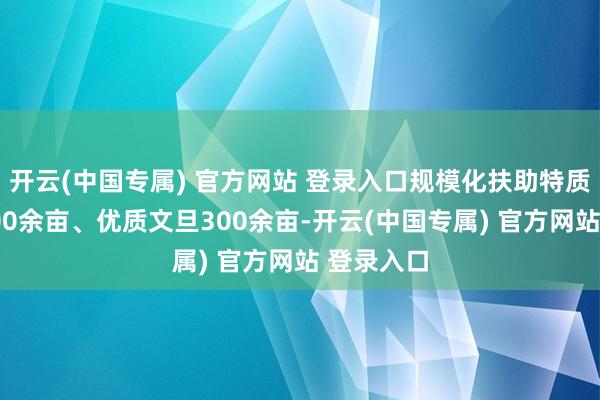 开云(中国专属) 官方网站 登录入口规模化扶助特质咪咪菜600余亩、优质文旦300余亩-开云(中国专属) 官方网站 登录入口