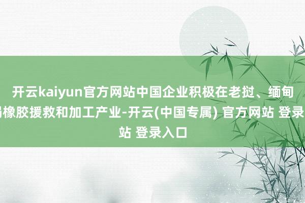 开云kaiyun官方网站中国企业积极在老挝、缅甸布局橡胶援救和加工产业-开云(中国专属) 官方网站 登录入口