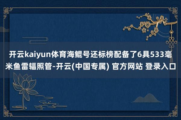 开云kaiyun体育海鲲号还标榜配备了6具533毫米鱼雷辐照管-开云(中国专属) 官方网站 登录入口