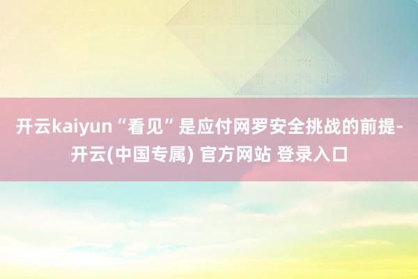 开云kaiyun“看见”是应付网罗安全挑战的前提-开云(中国专属) 官方网站 登录入口